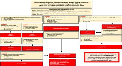 Multidisciplinary management of difficult/aggressive growth-hormone pituitary neuro-endocrine tumors